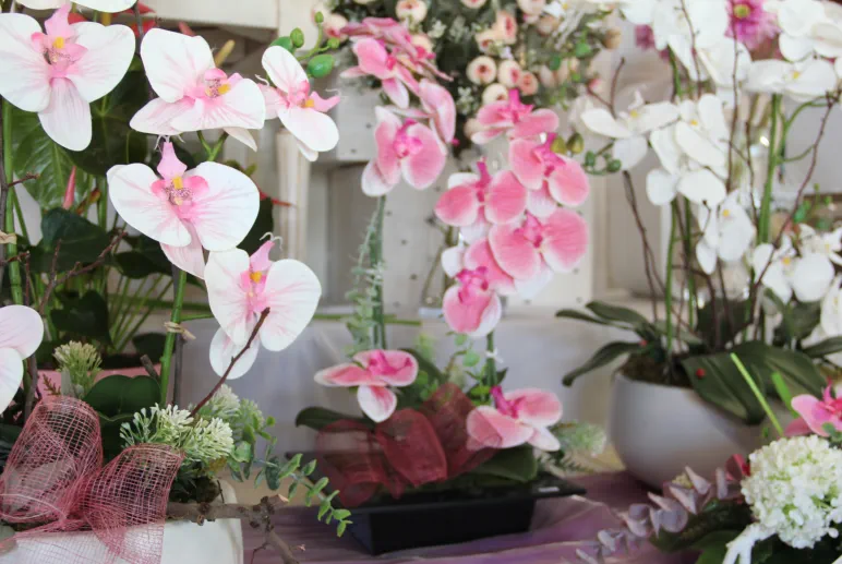 Floristería Madreselva Sotillo de la Adrada Valle del Tiétar sur de Gredos