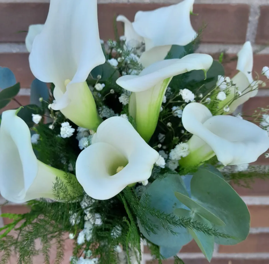 Ramos de Novia Floristería Madreselva Sotillo de la Adrada Ávila Valle del Tiétar Gredos